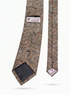 Classic Paisley Necktie