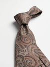 Classic Paisley Necktie