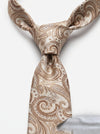 Classic Paisley Necktie