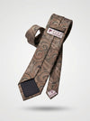 Classic Paisley Necktie