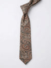 Classic Paisley Necktie