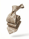 Classic Paisley Necktie