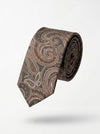 Classic Paisley Necktie