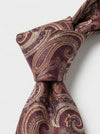 Classic Paisley Necktie