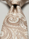 Classic Paisley Necktie