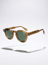 Sunglasses with brown frame and green lenses on a white background