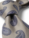Sandstone Paisley Necktie