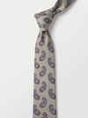 Sandstone Paisley Necktie